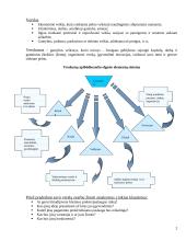 Verslas, privalumai - trūkumai 2 puslapis