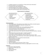 Verslas, privalumai - trūkumai 3 puslapis