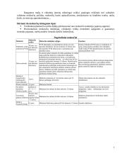 Verslas, privalumai - trūkumai 7 puslapis