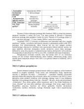 Verslo apibūdinimas ir aplinkos anlizė: AB "Teo LT" 5 puslapis