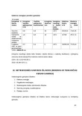 Verslo ekonomika: UAB "Vilnelė" 17 puslapis