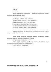Verslo ekonomika: UAB "Vilnelė" 5 puslapis