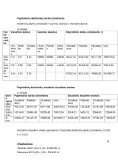 Verslo ekonomika: UAB "Vilnelė" 10 puslapis