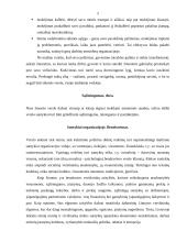 Etinių problemų klasifikacija, moralė bei etinis kodeksas 2 puslapis