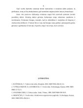 Etinių problemų klasifikacija, moralė bei etinis kodeksas 11 puslapis