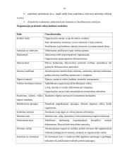 Kelios verslo etikos temos 13 puslapis