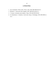 Kelios verslo etikos temos 19 puslapis