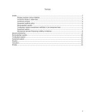 Verslo finansų analizė 2 puslapis