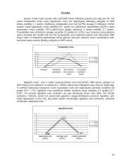 Verslo finansų analizė 16 puslapis