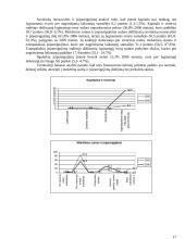Verslo finansų analizė 17 puslapis