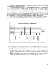 Verslo finansų analizė 19 puslapis