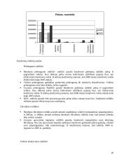 Verslo finansų analizė 20 puslapis