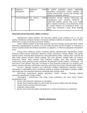 Verslo finansų analizė 8 puslapis