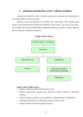 Verslo idėja: IĮ "Studentų konsultavimo centras" 11 puslapis