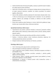 Verslo idėja: IĮ "Studentų konsultavimo centras" 13 puslapis