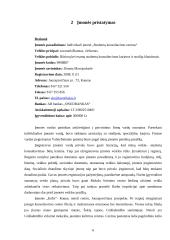 Verslo idėja: IĮ "Studentų konsultavimo centras" 6 puslapis