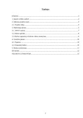 Verslo idėjos pagrindimas vadybiniu aspektu: pramoginis klubas 2 puslapis