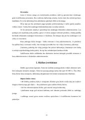 Verslo idėjos pagrindimas vadybiniu aspektu: pramoginis klubas 11 puslapis