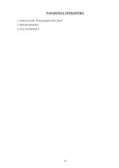 Verslo idėjos pagrindimas vadybiniu aspektu: pramoginis klubas 13 puslapis