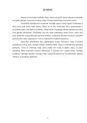 Verslo idėjos pagrindimas vadybiniu aspektu: pramoginis klubas 3 puslapis