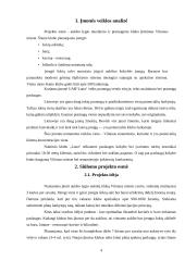 Verslo idėjos pagrindimas vadybiniu aspektu: pramoginis klubas 4 puslapis