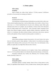 Verslo idėjos pagrindimas vadybiniu aspektu: pramoginis klubas 8 puslapis