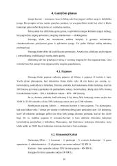 Verslo idėjos pagrindimas vadybiniu aspektu: pramoginis klubas 10 puslapis