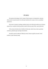 Verslo idėjos pagrindimas: Ramūno Klimavičiaus IĮ "Tavo reklama" 11 puslapis