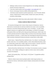 Verslo idėjos pagrindimas: Ramūno Klimavičiaus IĮ "Tavo reklama" 4 puslapis