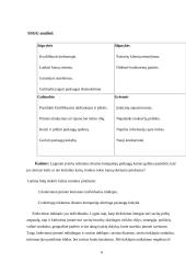 Verslo idėjos pagrindimas: Ramūno Klimavičiaus IĮ "Tavo reklama" 6 puslapis