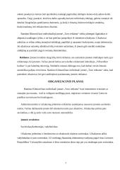 Verslo idėjos pagrindimas: Ramūno Klimavičiaus IĮ "Tavo reklama" 7 puslapis