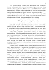 Verslo modelio praktinė analizė: UAB "Sveikuolių duonelė" 5 puslapis