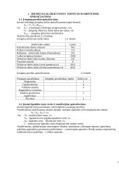 Verslo organizavimas: automobilių servisas 2 puslapis