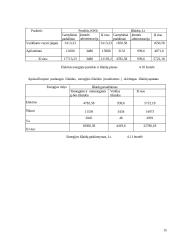 Verslo organizavimas: automobilių servisas 15 puslapis