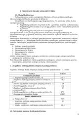 Verslo organizavimas: automobilių servisas 16 puslapis