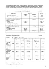 Verslo organizavimas: automobilių servisas 17 puslapis