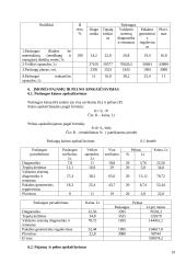 Verslo organizavimas: automobilių servisas 19 puslapis