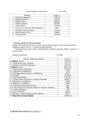 Verslo organizavimas: automobilių servisas 20 puslapis