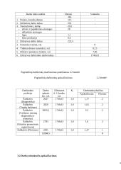 Verslo organizavimas: automobilių servisas 4 puslapis