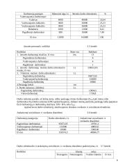 Verslo organizavimas: automobilių servisas 6 puslapis