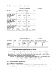 Verslo organizavimas: automobilių servisas 8 puslapis