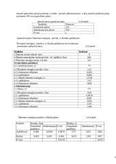 Verslo organizavimas: automobilių servisas 9 puslapis