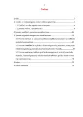 Verslo organizavimo projektavimas: grožio salonas 2 puslapis