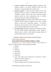 Verslo organizavimo projektavimas: grožio salonas 11 puslapis