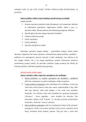 Verslo organizavimo projektavimas: grožio salonas 13 puslapis