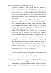 Verslo organizavimo projektavimas: grožio salonas 19 puslapis