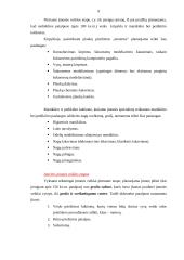 Verslo organizavimo projektavimas: grožio salonas 9 puslapis