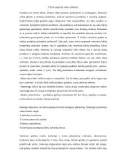 Verslo kūrimo pagrindai 2 puslapis