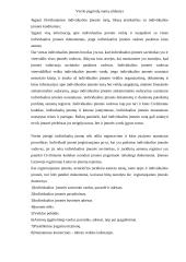 Verslo kūrimo pagrindai 12 puslapis