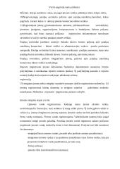 Verslo kūrimo pagrindai 13 puslapis